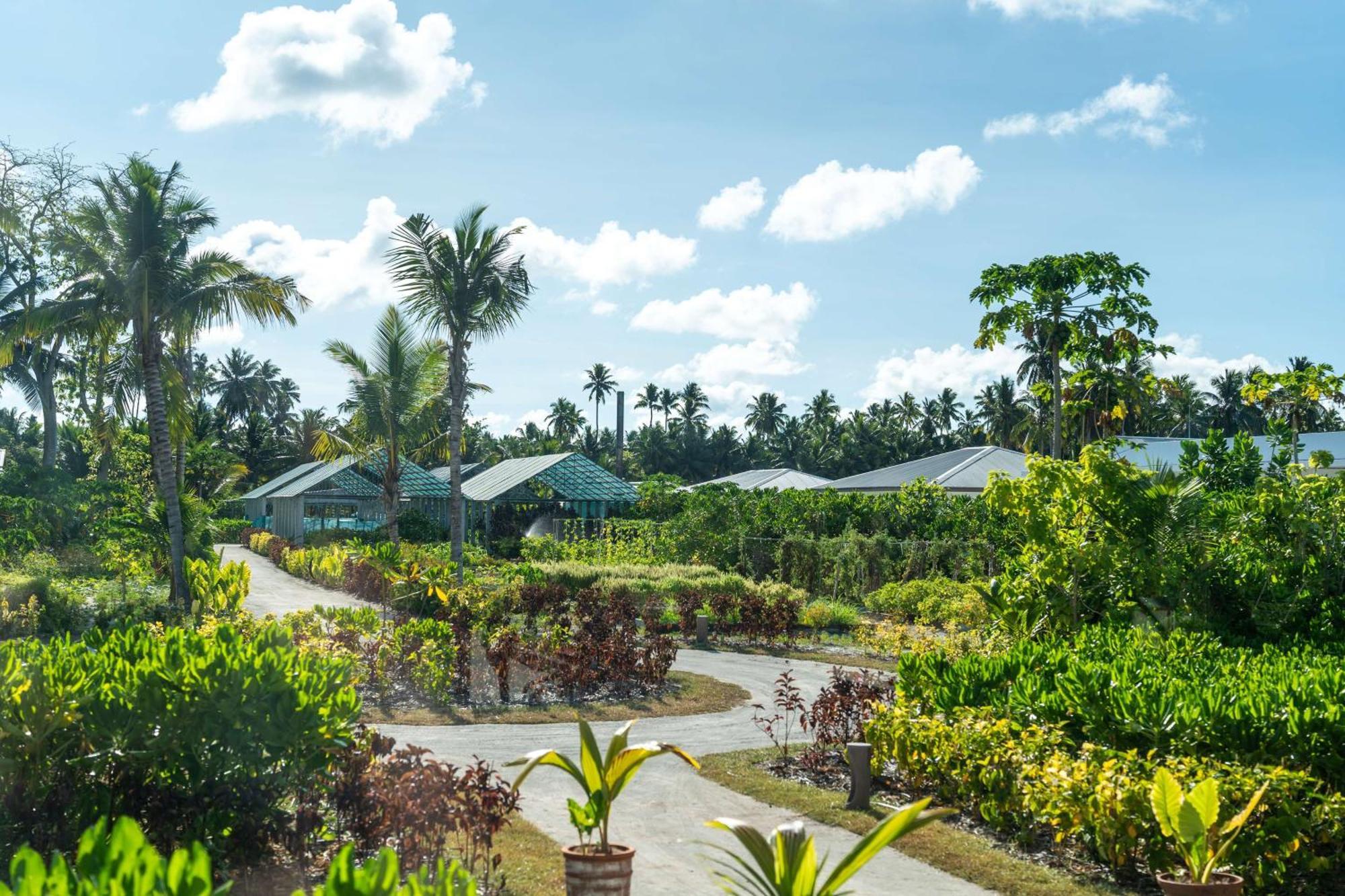 Hotel Waldorf Astoria Seychelles Platte Island Exteriér fotografie